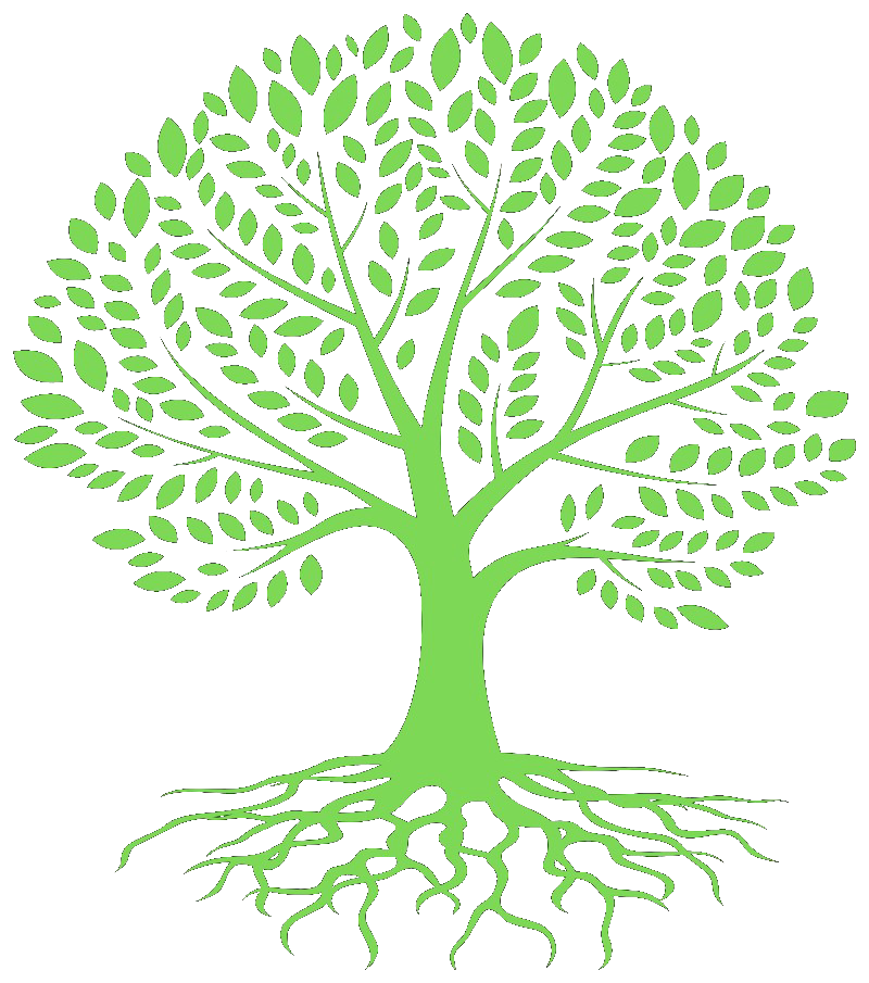Macca Tree Development